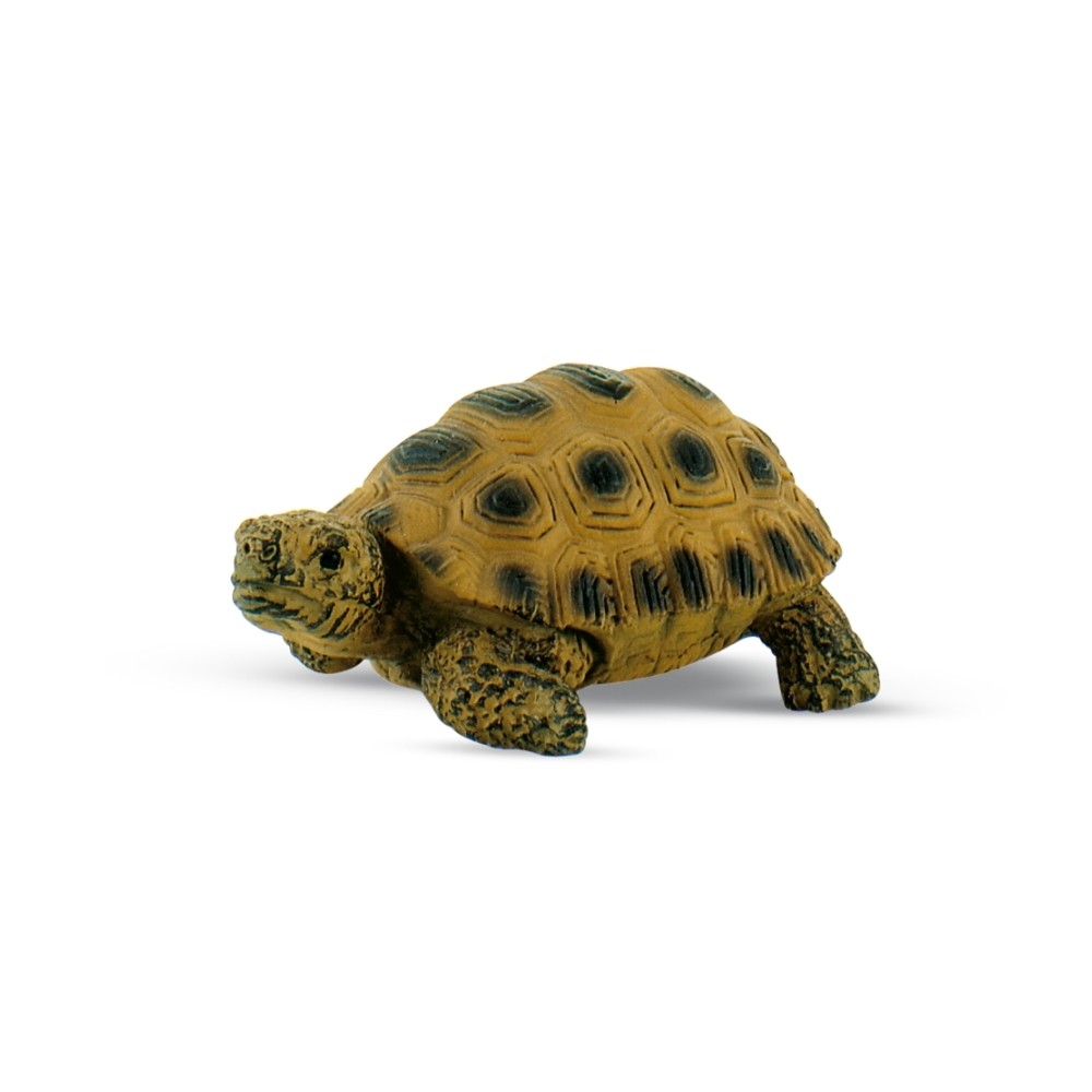 Bullyland 63554 Young Tortoise