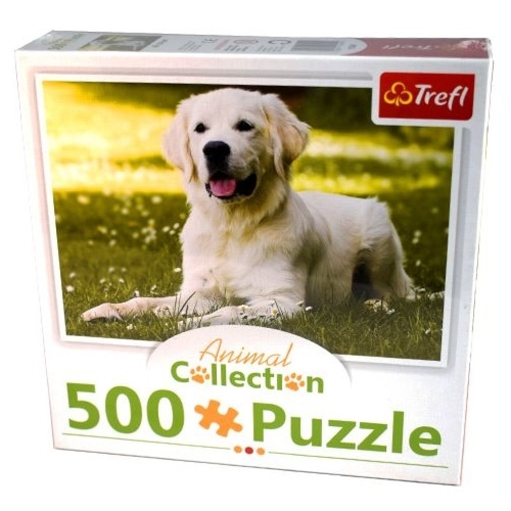 Trefl puzzle 500 db - Animal Collection: Golden Retriever