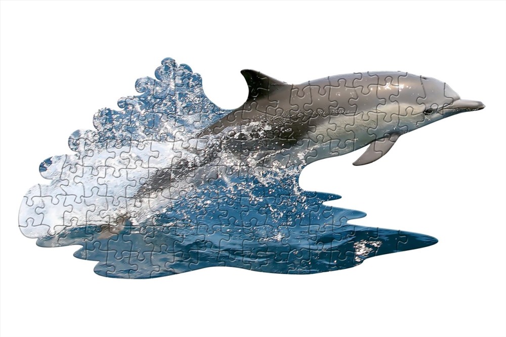 WOW Puzzle Jr. 100 pcs - I AM Lil' Dolphin