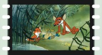 Diafilm: Vuk 1.
